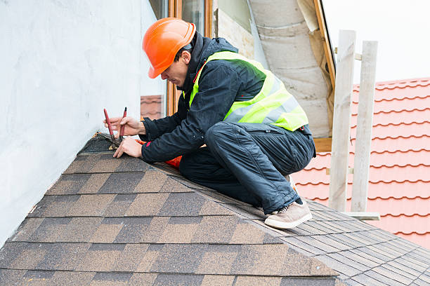 Best Roof Gutter Cleaning  in New Baltimore, VA